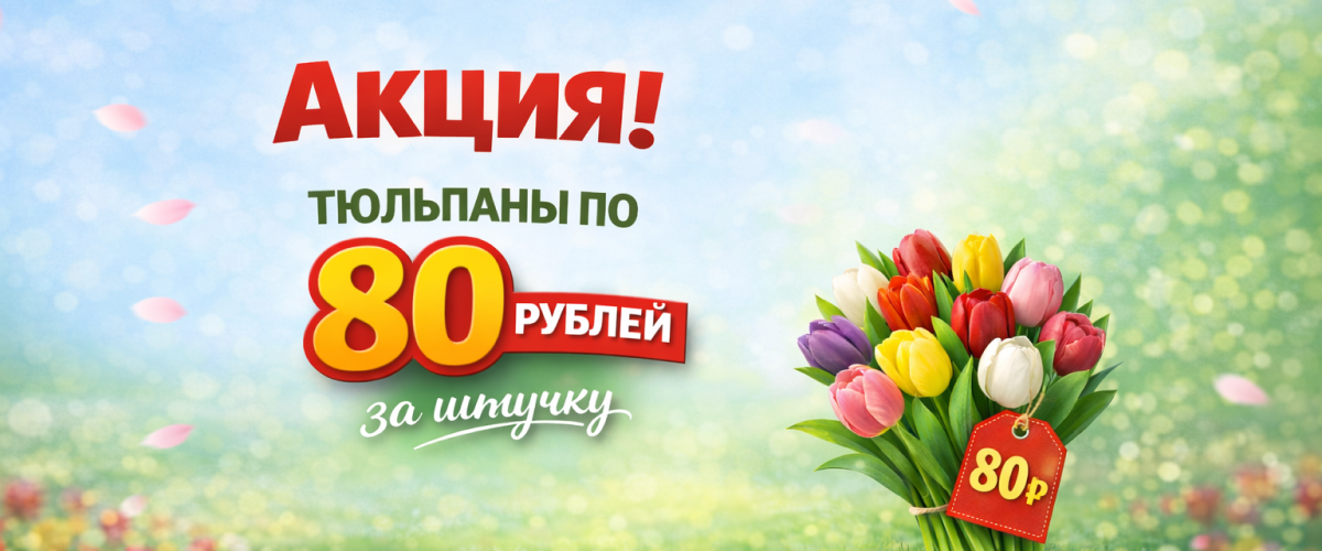 Тюльпаны по 80 рублей за штучку