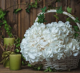 Букет из гортензий