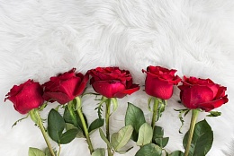 5 красных роз